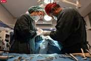 Management of cosmetic surgery in Iran: challenges and solutions